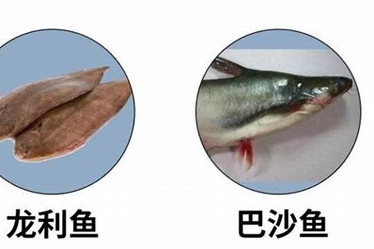 哪些品种的鱼的鱼刺比较少？