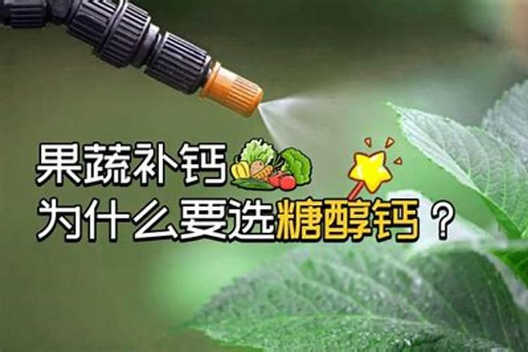 番茄喷施磷酸二氢钾可以加糖醇钙镁吗