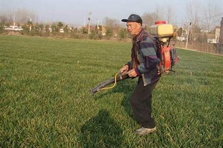 打完叶面肥多久可以打除草剂