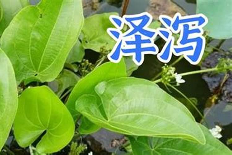 ...钾具备哪些特点,使得其适合瓜果类、块茎类等作物的中后期使用...
