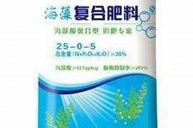 海藻肥的施用方法 注意事项有哪些