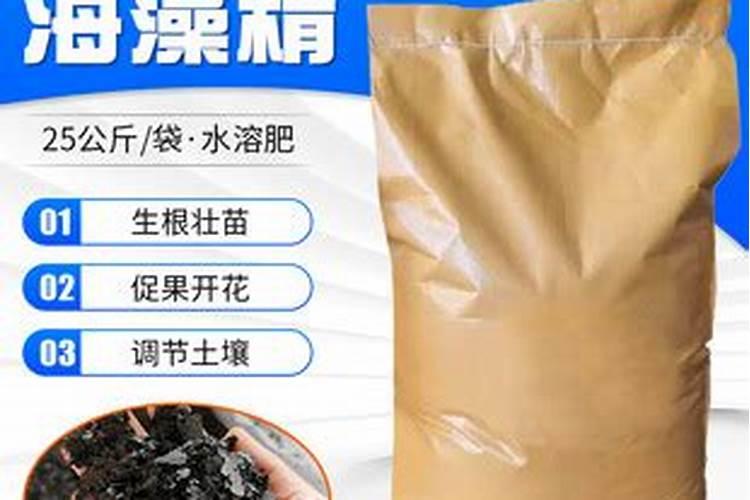 葡萄小黑点病因与防治有哪些？
