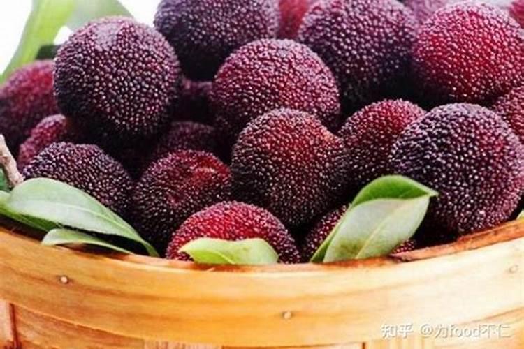 杨梅能用盐施肥吗？