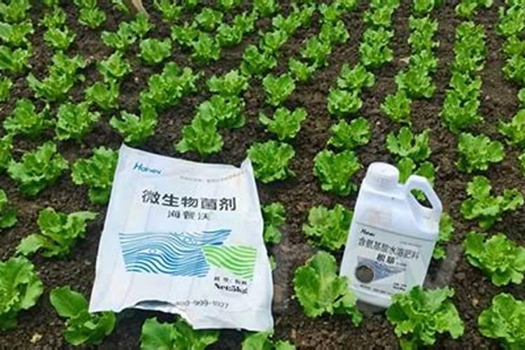 105010大量元素水溶肥适合什么作物