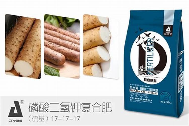 麻山药有哪些营养价值？