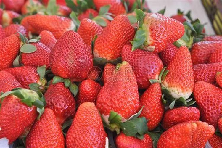 草莓种植需要什么肥料 草莓种植需要哪种肥料