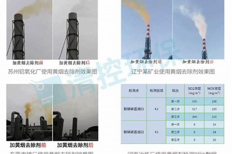 大豆地可以种黄烟吗？
