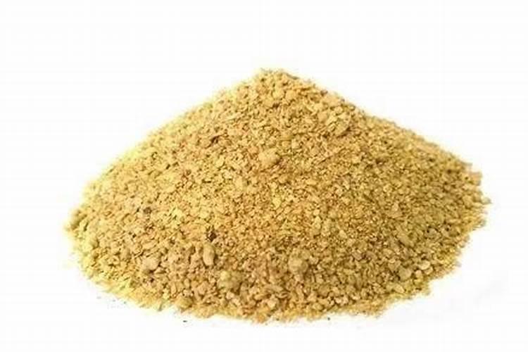 花盆种芦荟用什么肥料好