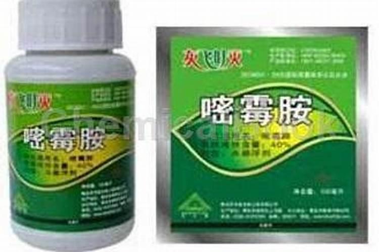 葡萄病害防治与用药