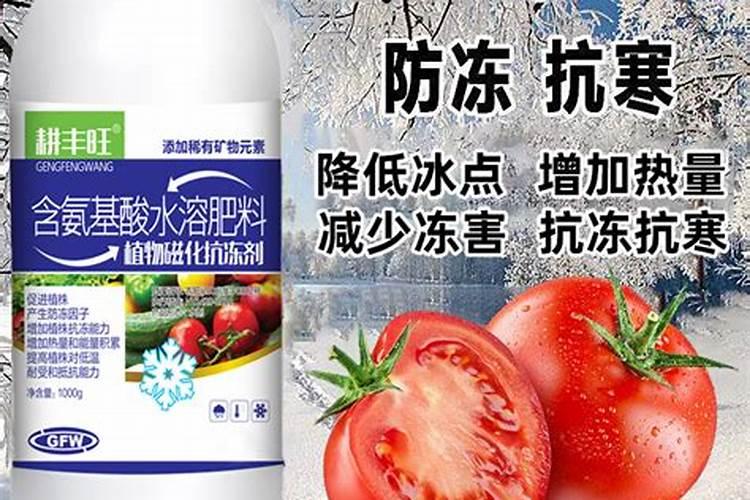植物防冻剂什么时候用效果好,植物防冻剂的使用方法及注意事项