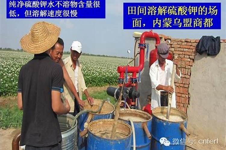 自制冲施肥配方分享