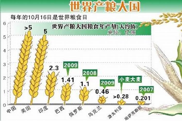 蓝莓施什么肥最好