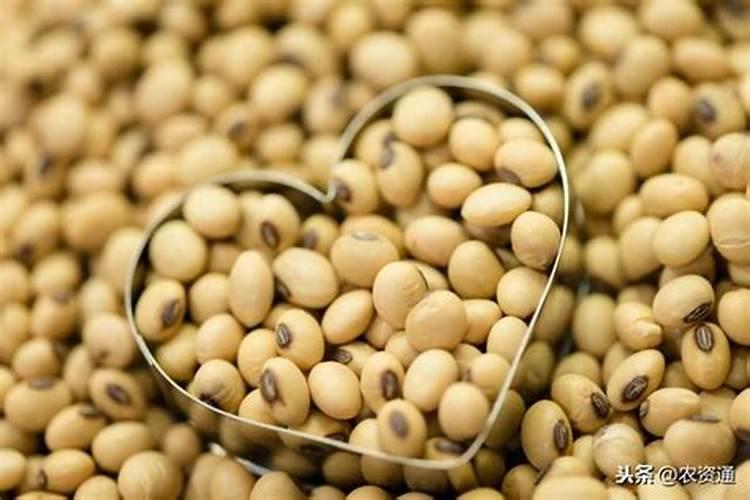 大豆是很喜欢施肥的作物,如何知道大豆缺少什么肥呢？