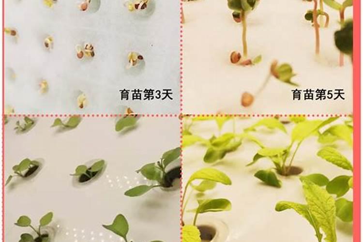 霍州煤电集团贴吧