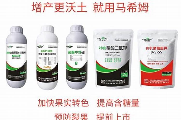 大棚樱桃树啥时候喂钙肥？