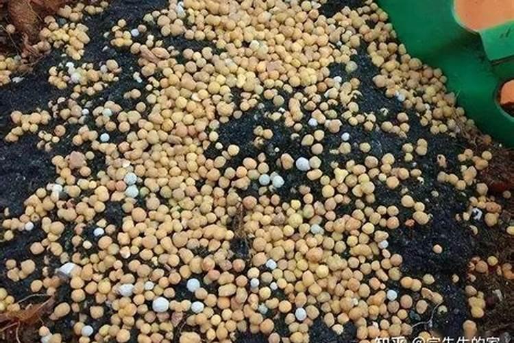磷肥做底肥会烧根吗