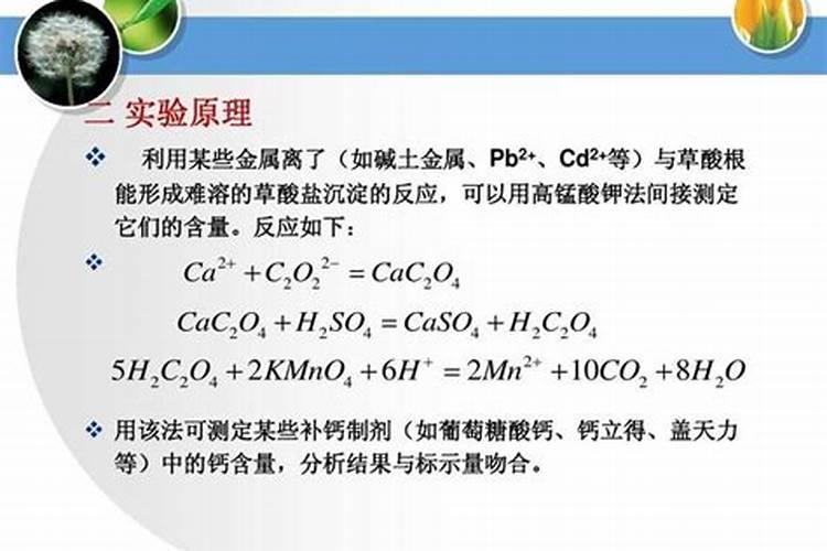绿豆的七天生长过程