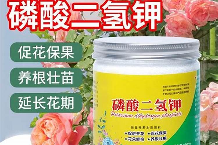 花多多10号肥料怎么用(养什么花用花多多10肥料好)