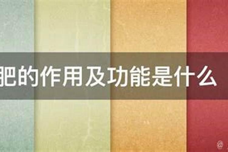 钙镁磷肥对柑橘的作用及功能