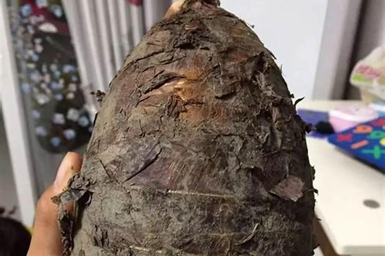 香芋施用复合肥需要注意哪些事项才能生长好？