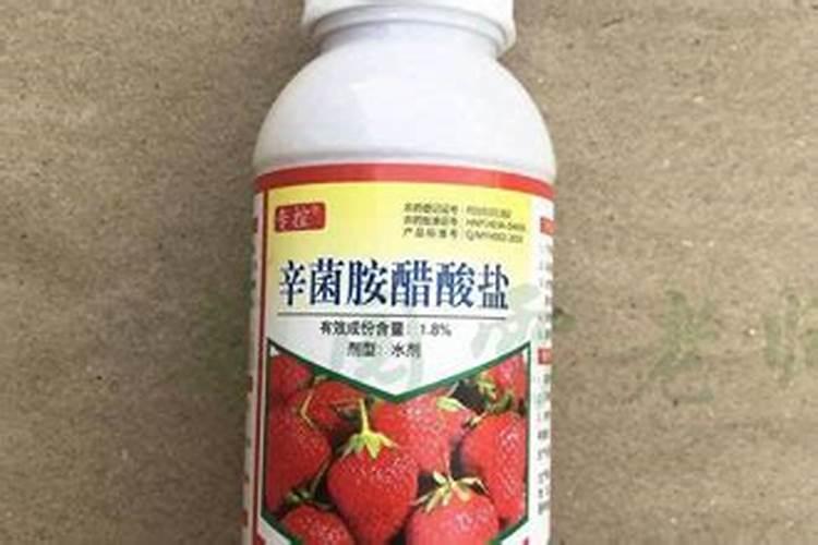细菌性杀菌剂有哪些