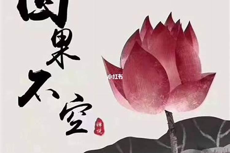 欧舒丹乳木果滋润洁面皂怎么样欧舒丹乳木果滋润洁面皂好用吗