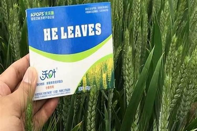 瓜果种植可以用罗布泊硫酸钾吗？