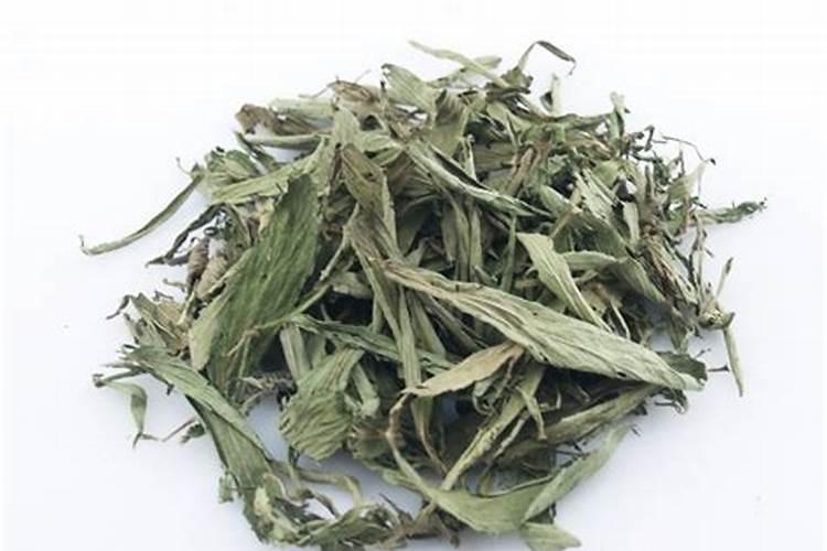 甜叶菊滴什么肥料增加叶子厚度