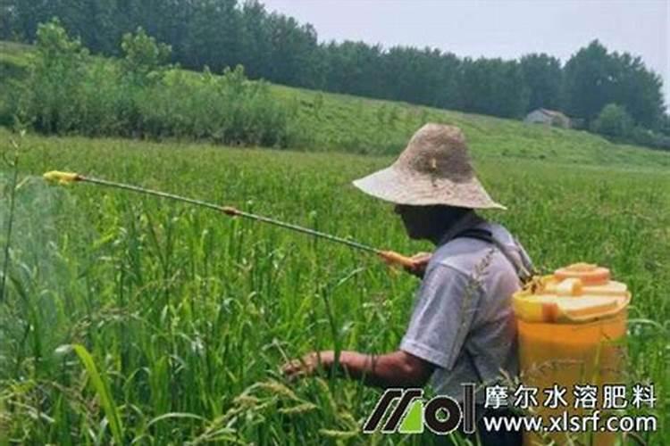 玉米水浇地可以追水溶肥和尿素那个好？