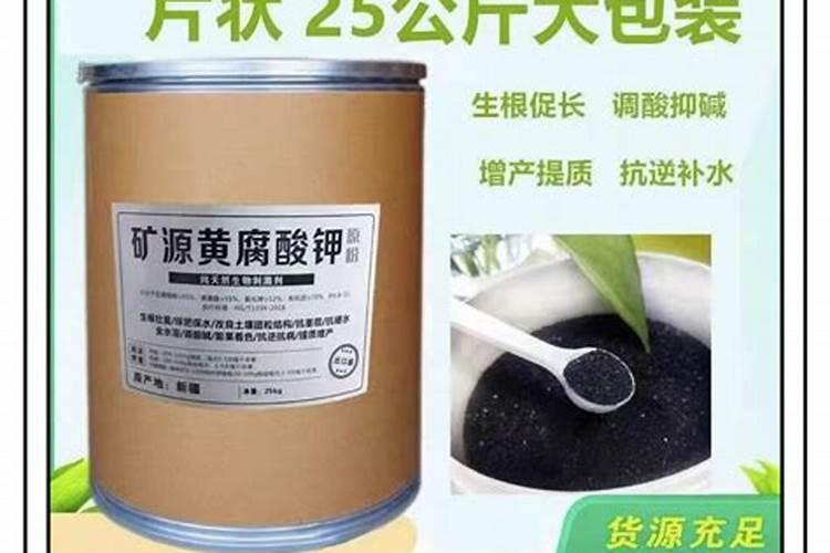 请教我用面肥发面的方法,谢谢