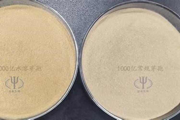 枯草芽孢杆菌怎么使用？枯草芽孢杆菌有什么使用禁忌
