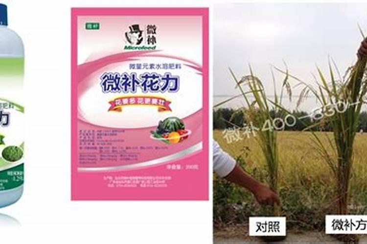 水稻硼肥的作用及使用方法