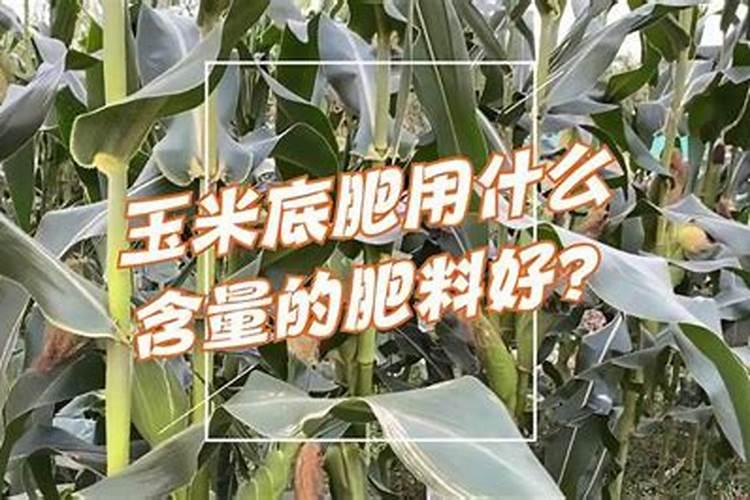 如何区分蓝色尖晶石和蓝宝石的刻面晶体