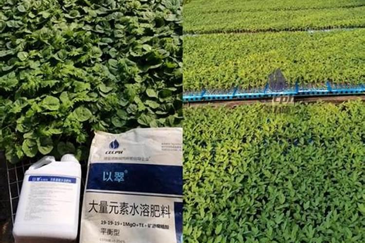 肥料广告宣传语精选？