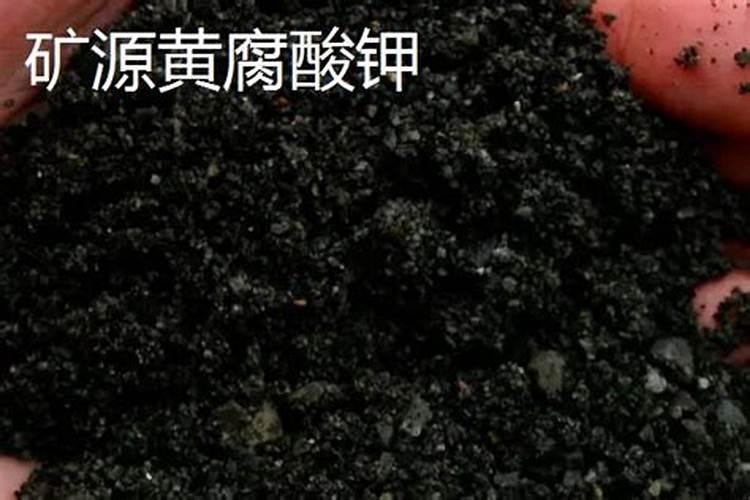 矿源黄腐酸钾真假区别