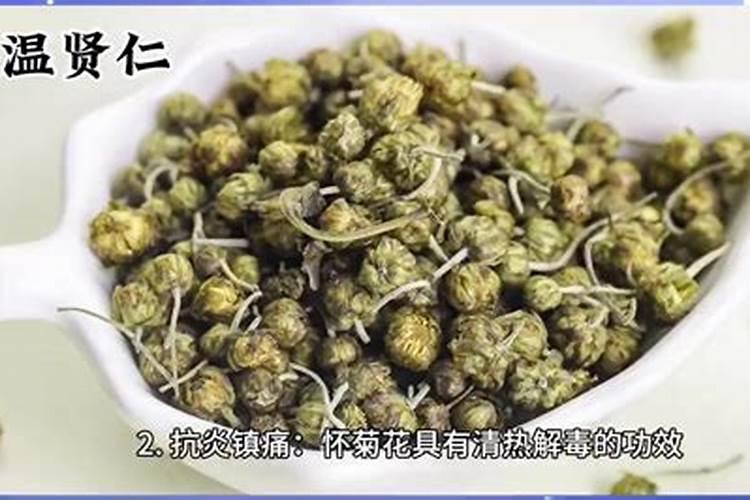菊花白粉病的防治方法有哪些,需要注意什么？