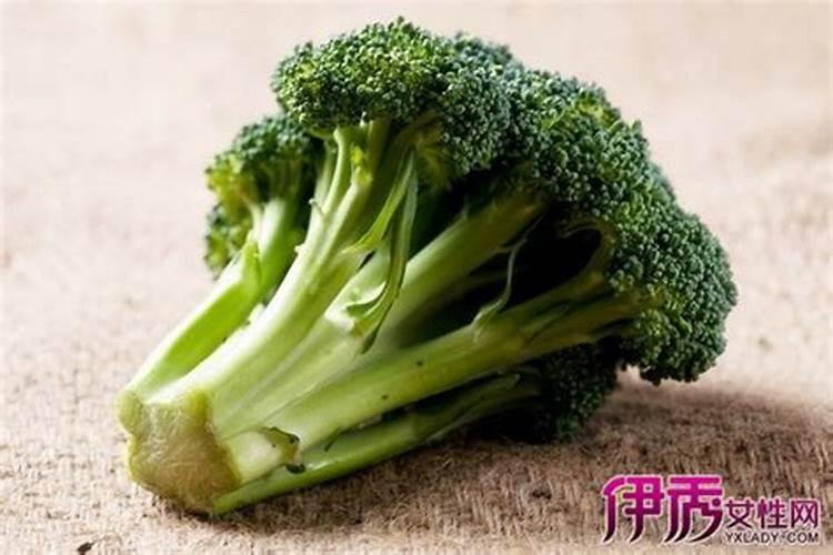 泥炭土和营养土的区别