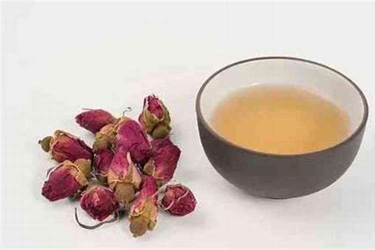 杉树苗种植方法