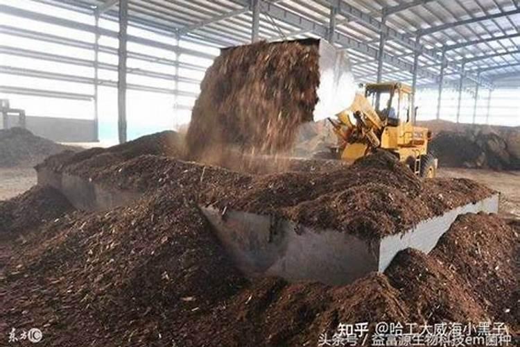 大粪便可以做肥料吗