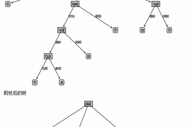 琴叶榕叶子冻伤怎么处理