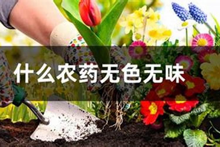 腐植肥是什么样的肥料？