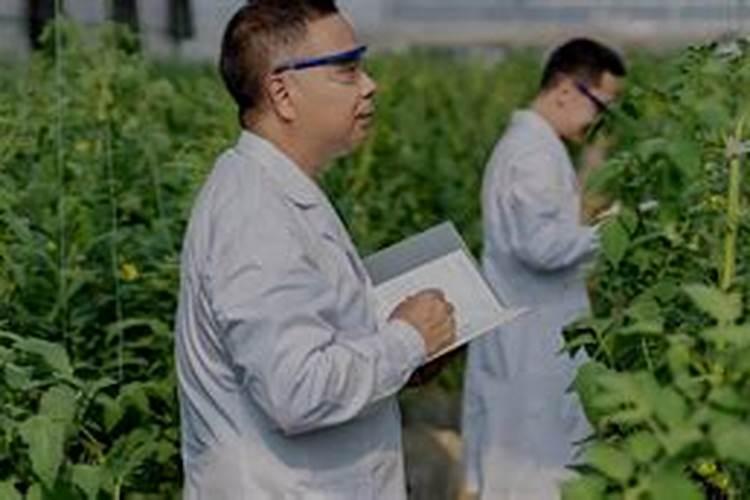 水溶肥排名前十位的有哪些品牌