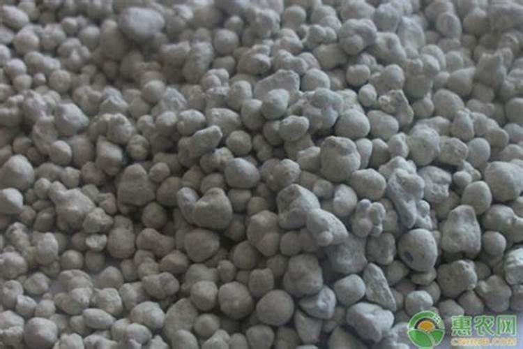 桂花树用什么肥好 花树生长会更好