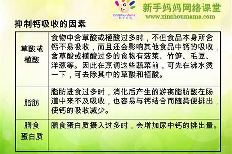 春笋如何种植