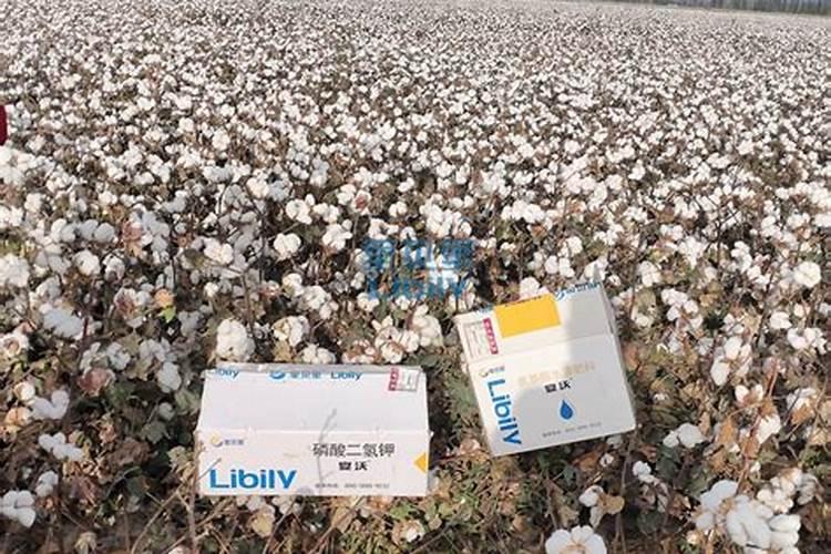 大量元素水溶肥料用法与用量