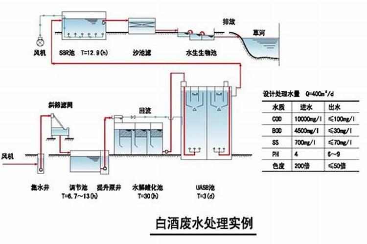 油菜缺磷症状及补救措施如何？