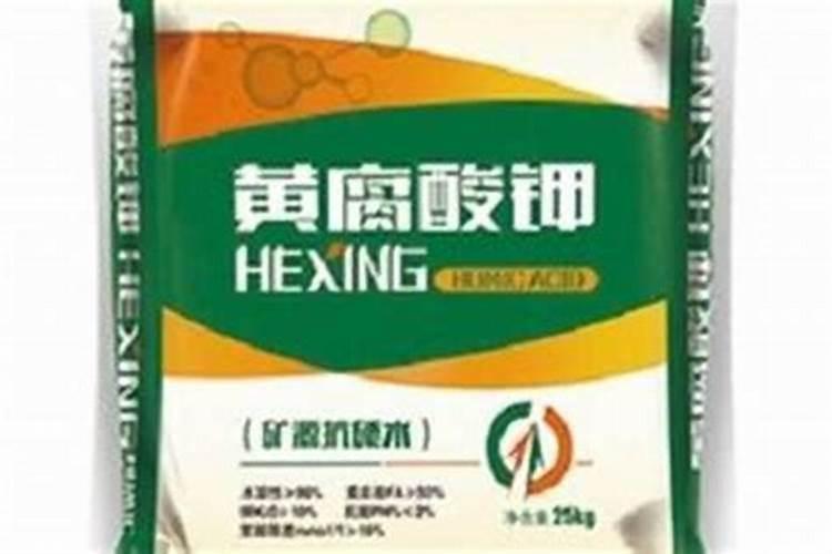 孜然是什么植物类别