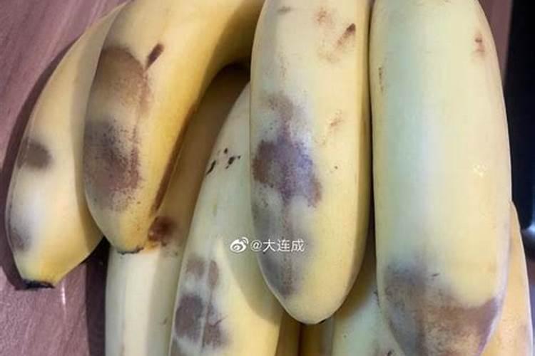 坏了的香蕉可以做花肥吗 烂香蕉肉怎么制作花肥