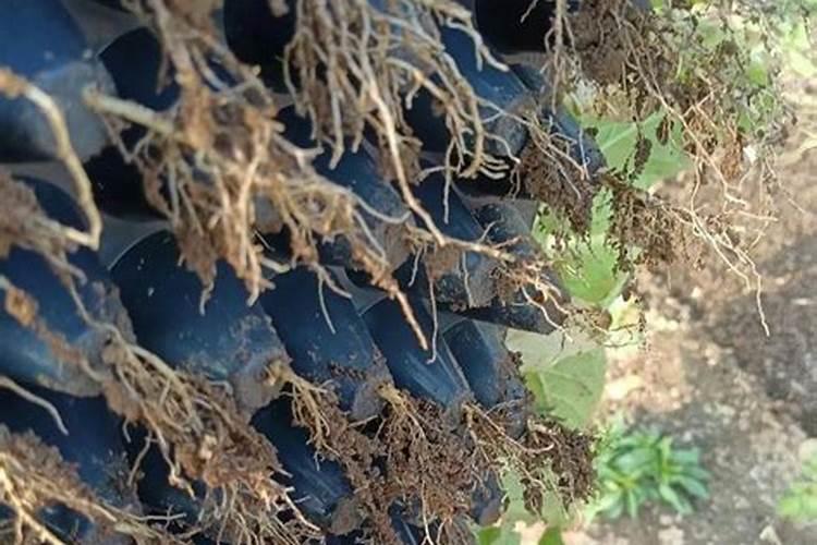 怎样根据烟草需肥特点进行施肥？