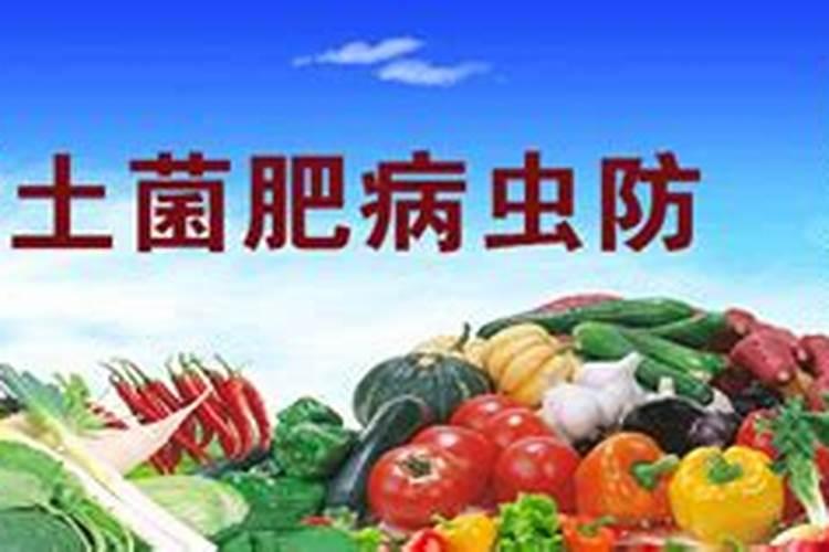 磷肥对植物的作用和用量 磷肥促进哪部分生长